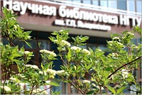 Летний график работы библиотеки