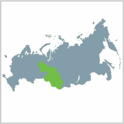 Библиотеки Регионального методического объединения библиотек вузов Западной Сибири