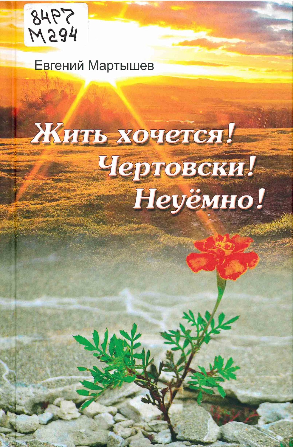 Фото предоставили сотрудники НБ НГТУ