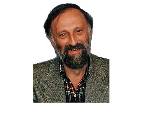 Пинус Александр Георгиевич, доктор физико-математических наук, профессор